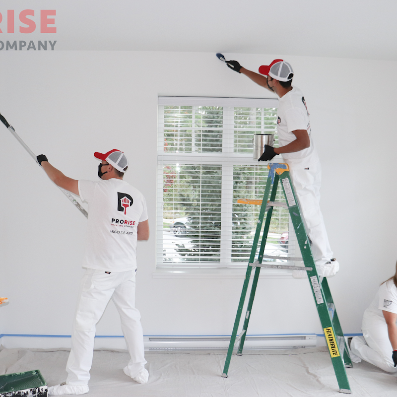 ProRise Painting Company