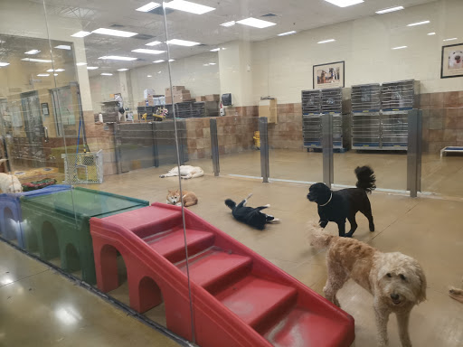 Pet Supply Store «PetSmart», reviews and photos, 3347 E Foothill Blvd, Pasadena, CA 91107, USA