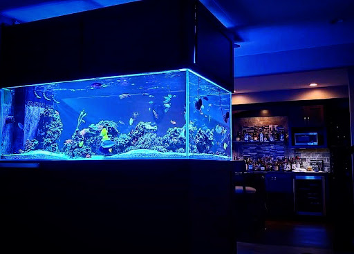 Tropical Fish Store «Glasscages.com LLC», reviews and photos, 1500 E Piney Rd, Dickson, TN 37055, USA