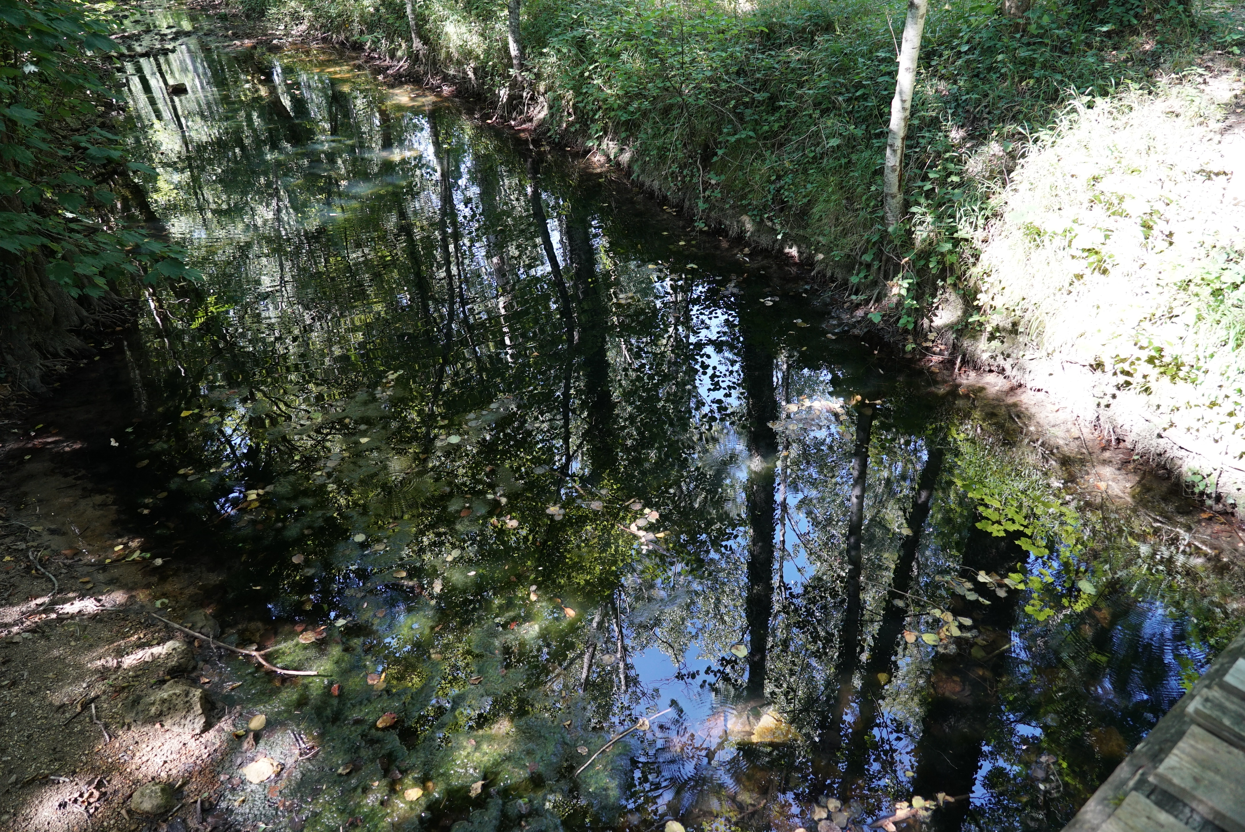 Photo n° 35 de l'avis de Yves.O fait le 29/08/2019 à 07:47