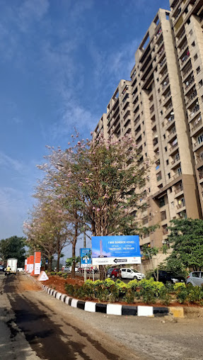 Google Maps image 22