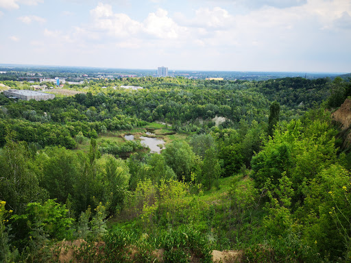 Holosiivskyi National Natural Park