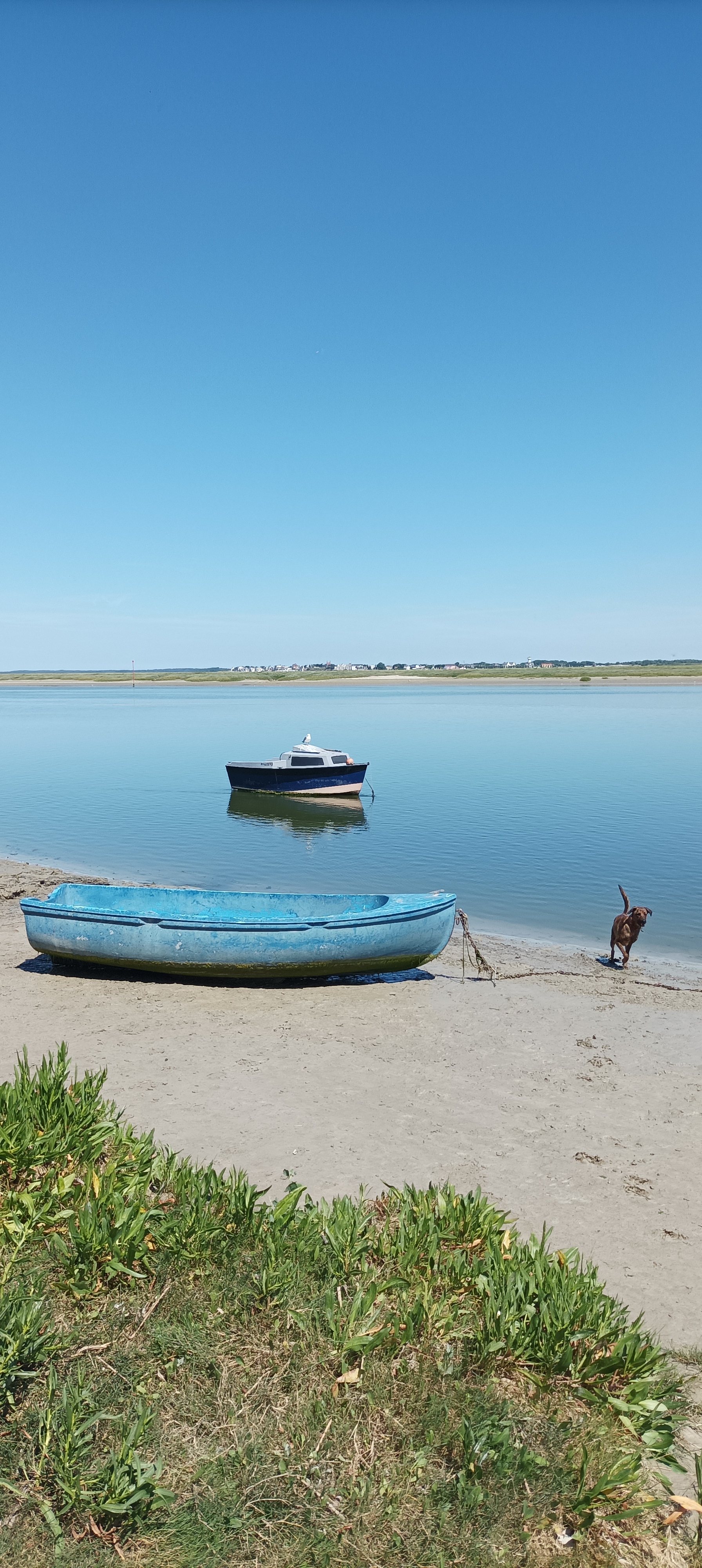 Photo n° 2 de l'avis de Caro. fait le 15/08/2022 à 15:41
