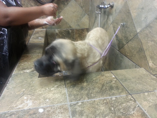 Pet Supply Store «Pet Valu», reviews and photos, 1308 Main Chapel Way, Gambrills, MD 21054, USA