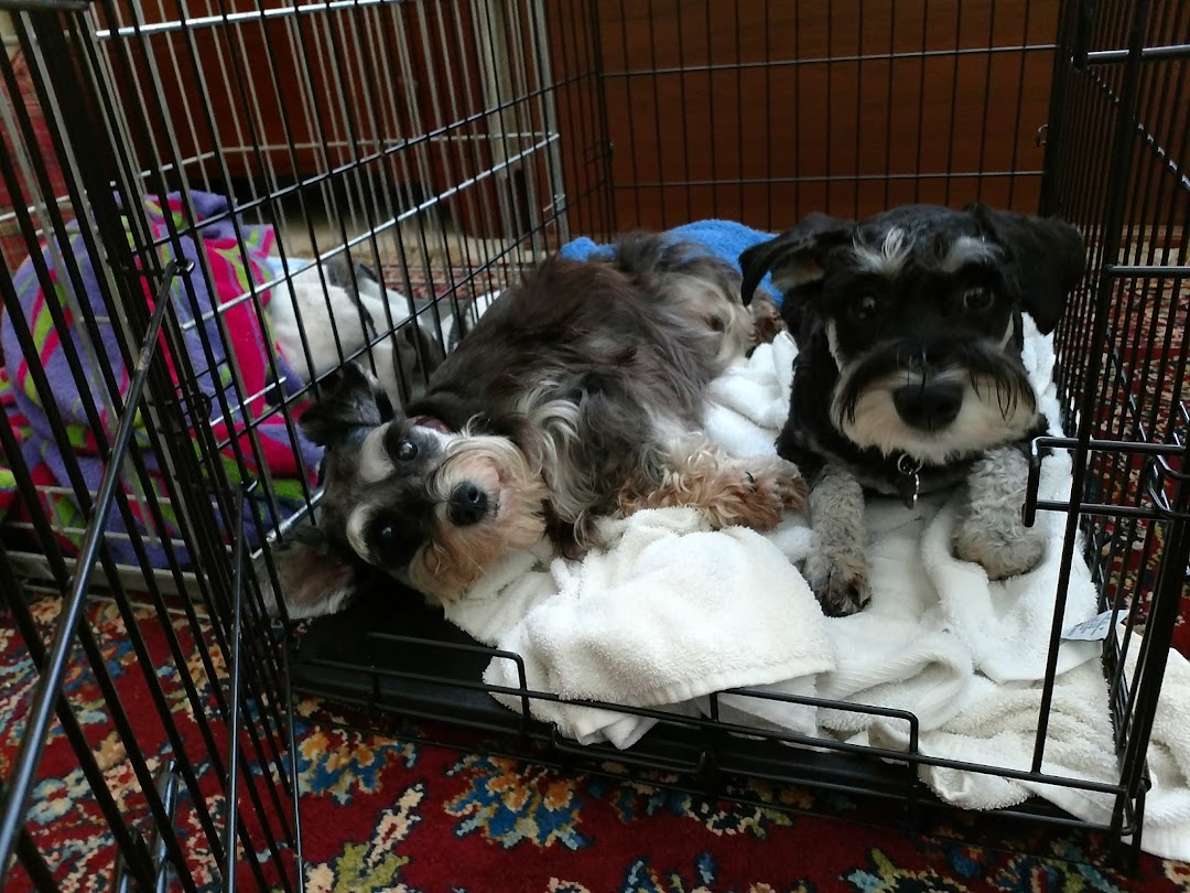 Gulf Coast Embroidery