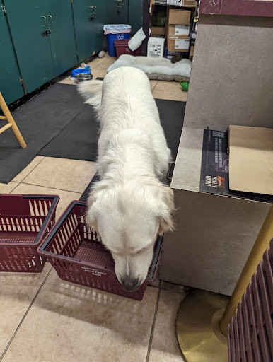 Liquor Store «Ballard Liquor Store», reviews and photos, 2804 NW Market St, Seattle, WA 98107, USA