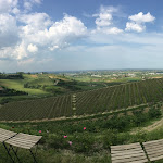 Photo n°1 de l'avis de Daniela.a fait le 10/05/2022 à 20:36 sur le  Terramare à Cesena