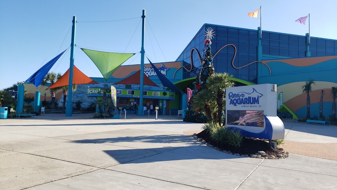 Cargo Hold Gift Shop