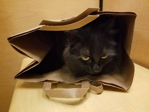 Pet Supply Store «PetSmart», reviews and photos, 1203 N Landing Way, Renton, WA 98057, USA