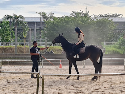 Kandang Kuda @MAEPS Rubinga Equine Centre