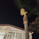 Photo n°3 de l'avis de Giancarlo.e fait le 13/08/2021 à 06:37 sur le  Maria Tindara il ristorante e la locanda à Isola di Vulcano