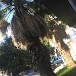 Photo n°2 de l'avis de ptaszynka86. fait le 29/09/2020 à 15:39 sur le  Caffetteria Anna à Manoppello Scalo