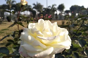 Rose Garden [M.D.U.] image