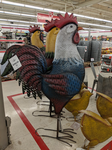 Home Improvement Store «Tractor Supply Co.», reviews and photos, 1550 Whitehall Rd, Muskegon, MI 49445, USA