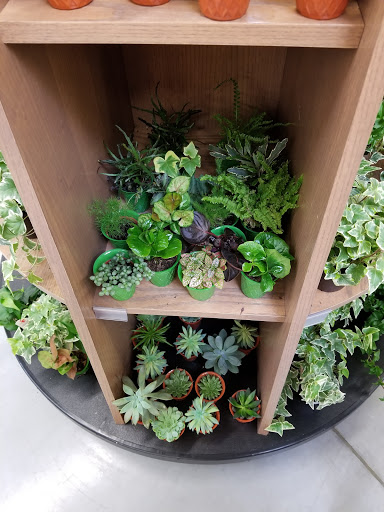 Grocery Store «Meijer», reviews and photos, 3800 Vollmer Rd, Flossmoor, IL 60422, USA