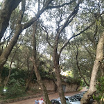 Photo n°5 de l'avis de Nino.i fait le 04/07/2022 à 08:12 sur le  Le Querce - Ristorante Sala Ricevimenti à Sassari