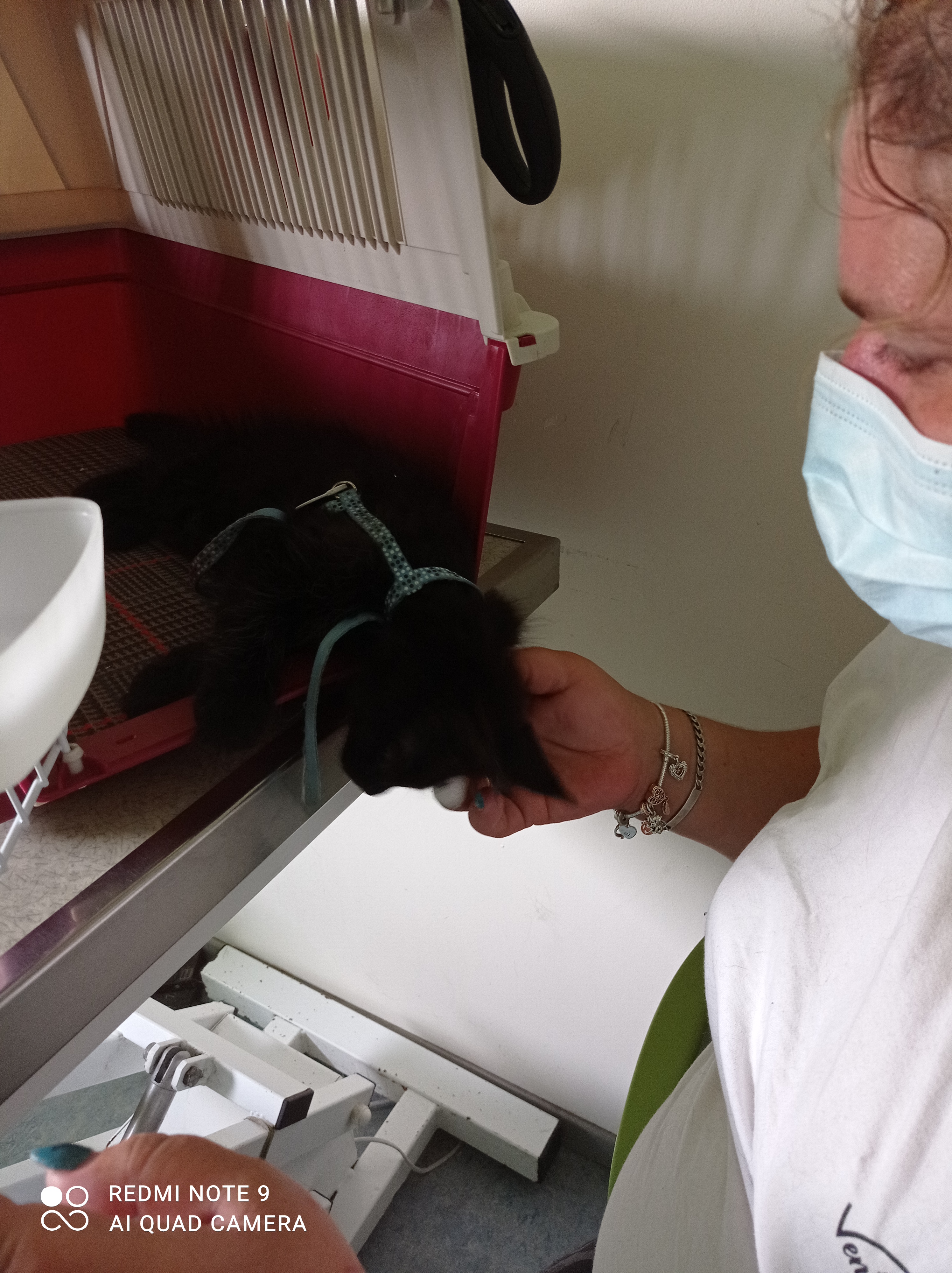 Photo n° 3 de l'avis de Philippe.e fait le 15/08/2021 à 17:10