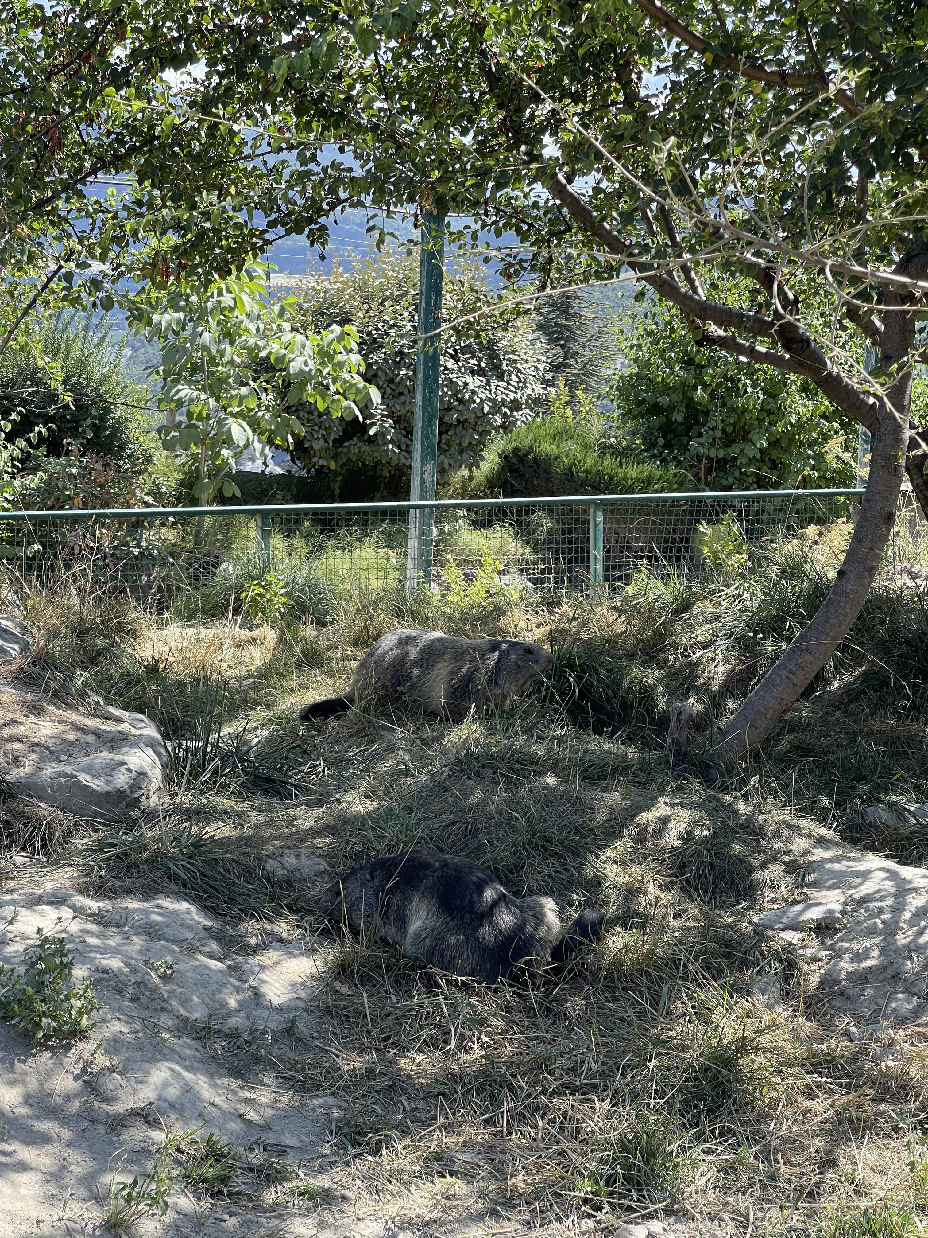 Photo n° 10 de l'avis de Ange.e fait le 13/08/2023 à 22:52