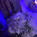 Photo n°2 de l'avis de Libera.e fait le 28/07/2021 à 14:37 sur le  Popilia Country Resort à Pizzo