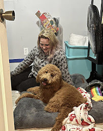 Accorsi Kennels via Rover Exclusively - Photo 1 - Car repair in , Springfield