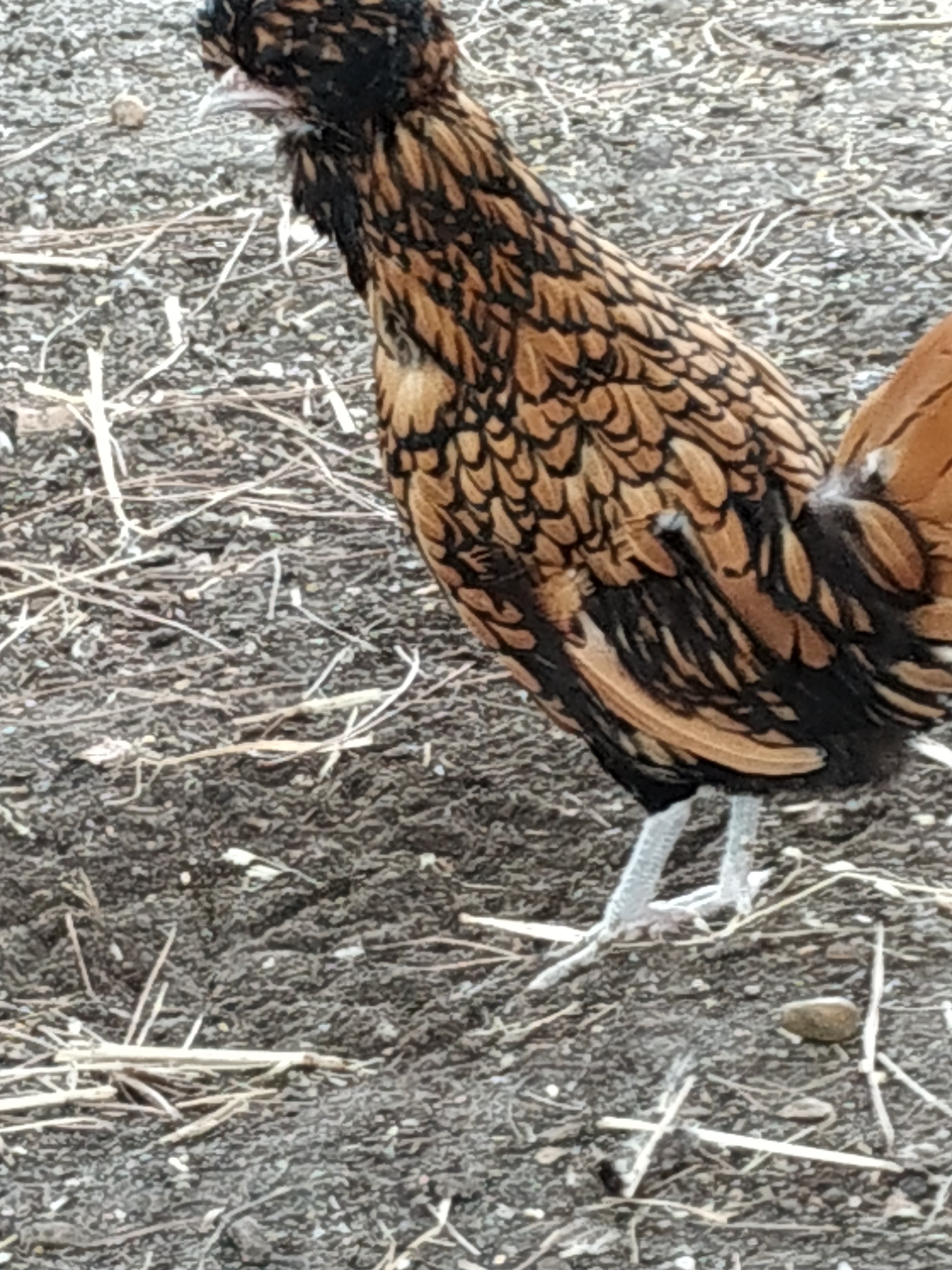 Photo n° 16 de l'avis de Jessy.e fait le 25/08/2018 à 16:56