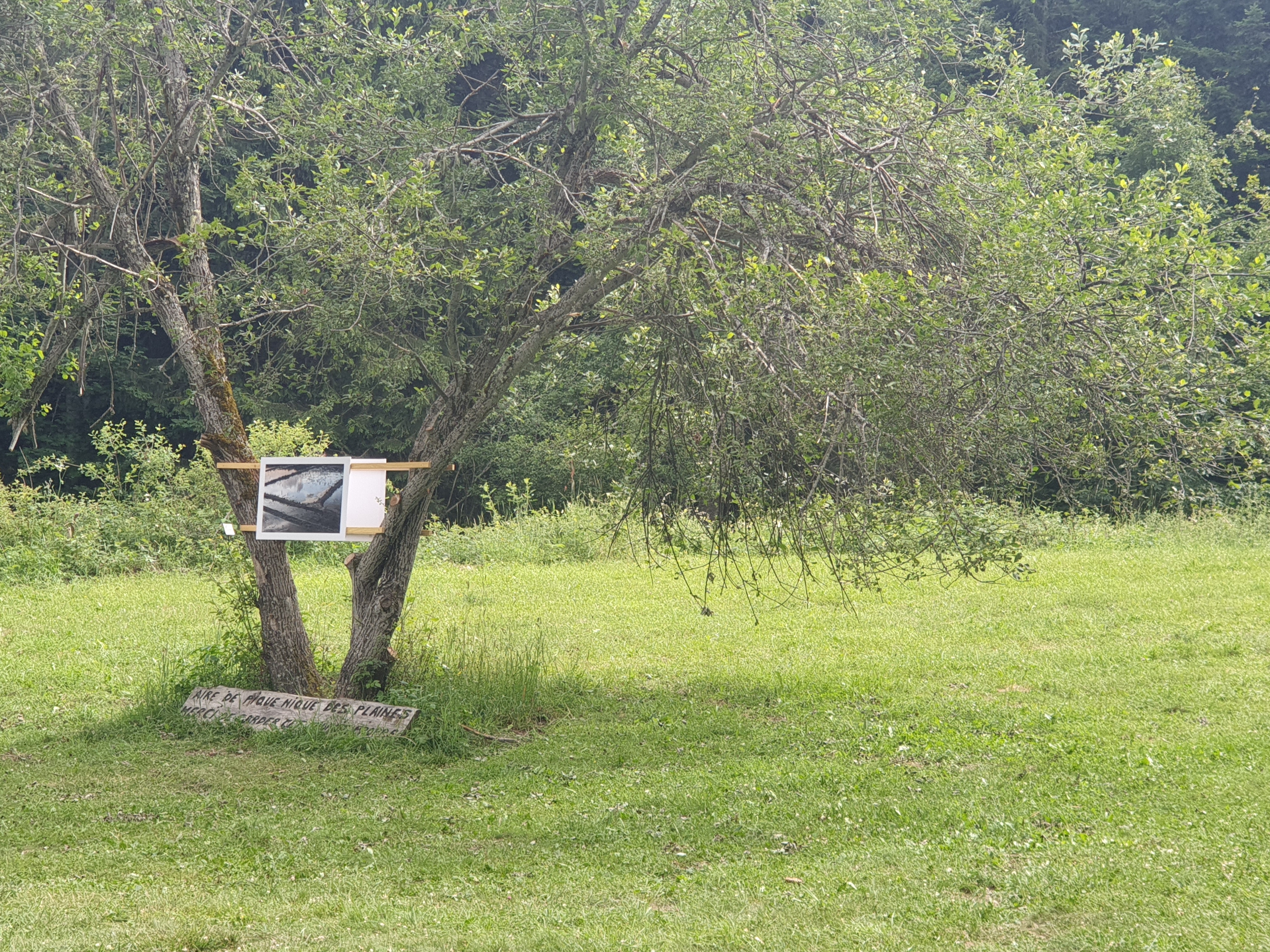 Photo n° 4 de l'avis de Laurent.o fait le 11/07/2019 à 18:58