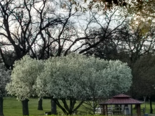 Zoo «Fritz Park Petting Farm», reviews and photos, 312 E Vilbig St, Irving, TX 75060, USA