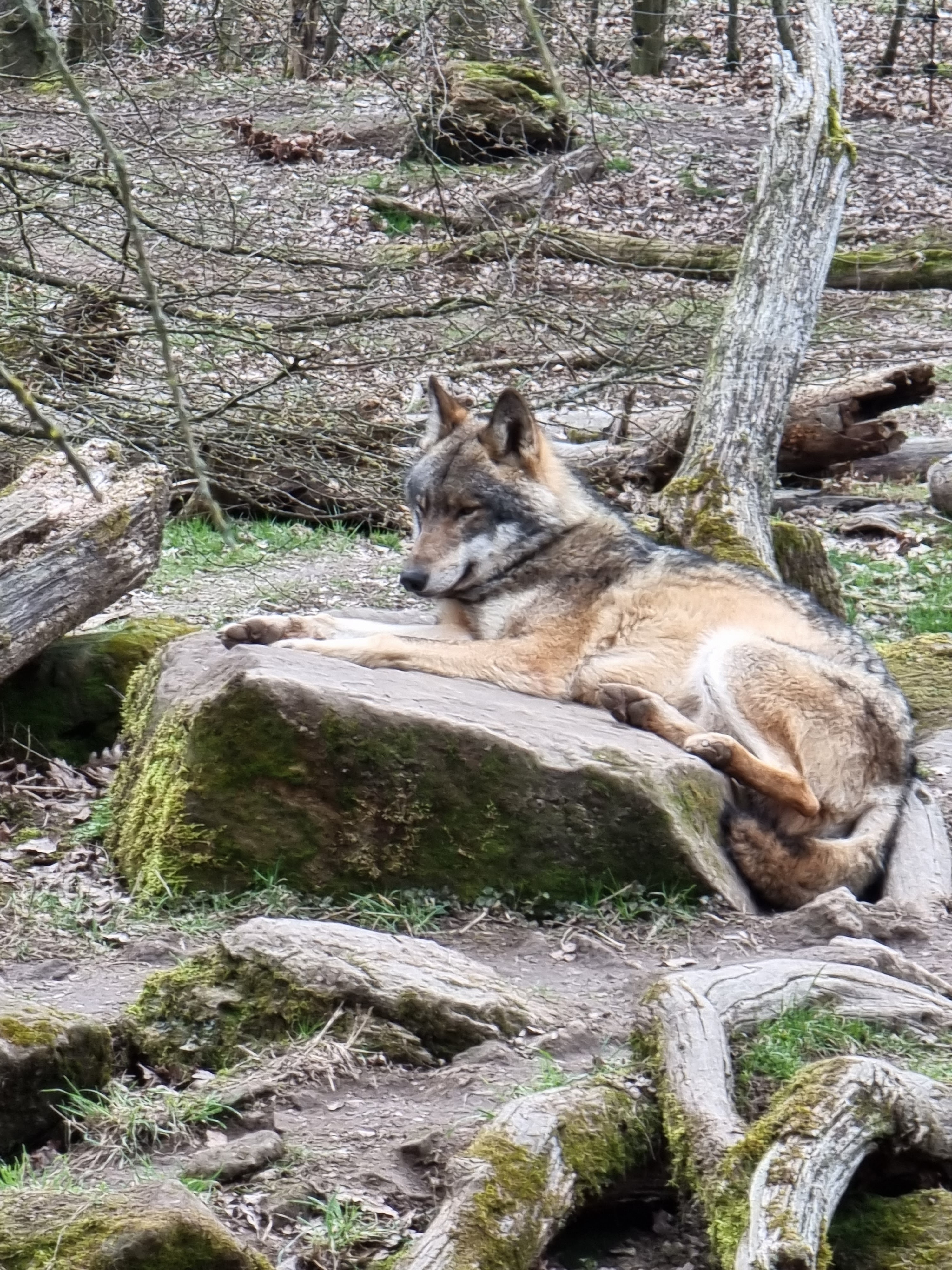 Photo n° 4 de l'avis de percque.a fait le 12/03/2023 à 16:11