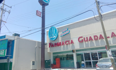 Farmacia Guadalajara, , Villa Unión