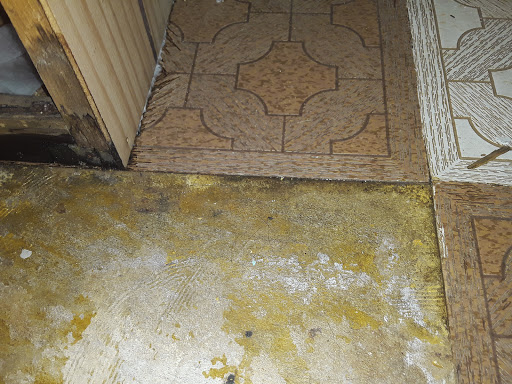 Plumber «Roto-Rooter Plumbing & Drain Services», reviews and photos, 10007 Denison Ave, Cleveland, OH 44111, USA