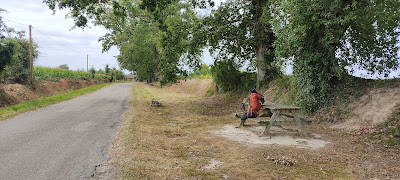 Une table ombragée à Miramont-Sensacq