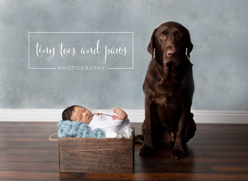 Tiny Toes and Paws Photography