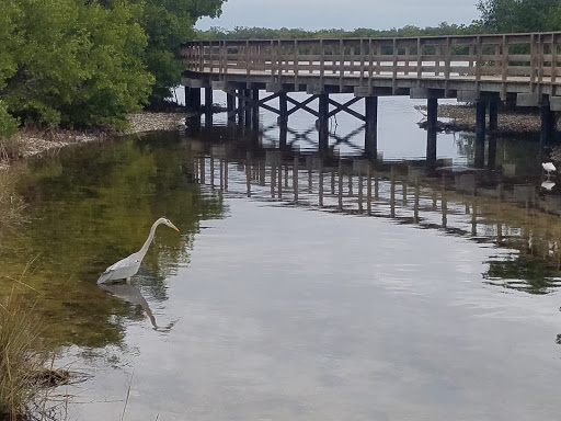 Nature Preserve «Perico Preserve», reviews and photos, 11700 Manatee Ave W, Bradenton, FL 34209, USA