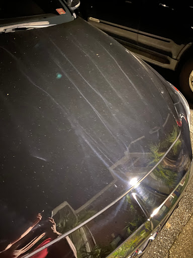 Auto Repair Shop «Professional Collision Schillinger», reviews and photos, 1040 Schillinger Rd S, Mobile, AL 36695, USA