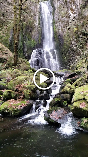 Real Estate Agency «Key Realty Group Inc - Eugene Oregon Real Estate Agency», reviews and photos, 627 Country Club Rd, Eugene, OR 97401, USA