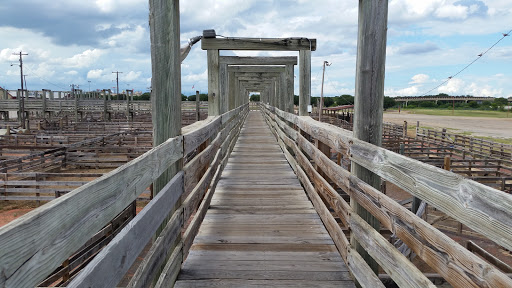 Museum «Stockyards Museum», reviews and photos, 131 E Exchange Ave # 113, Fort Worth, TX 76164, USA