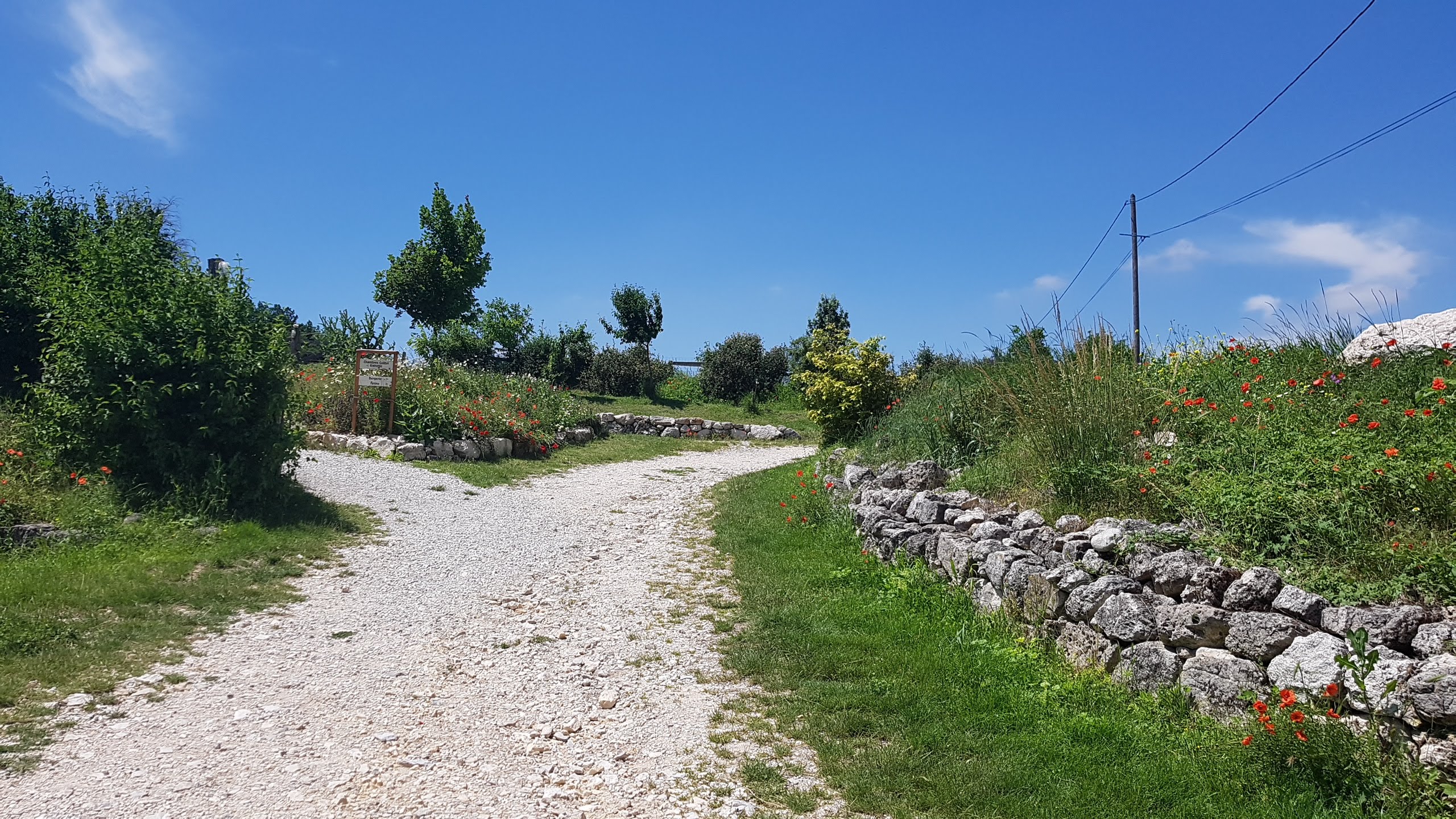 Photo n° 1 de l'avis de Celine.o fait le 19/06/2018 à 12:01