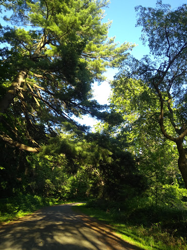 Park «Edgewood Park», reviews and photos, Edgewood Ave, New Haven, CT 06511, USA