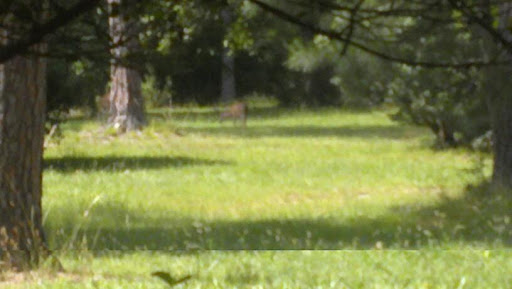 Playground «Newport News Disc Golf Course», reviews and photos, 700 Town Center Dr, Newport News, VA 23608, USA