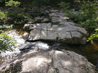 Pickle Creek Trail Trailhead