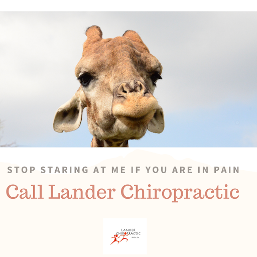 Lander Chiropractic image
