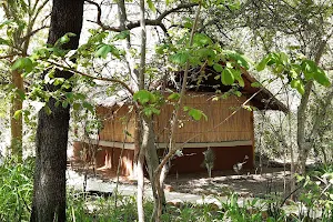 Nampene Island, Zambezi Birding image