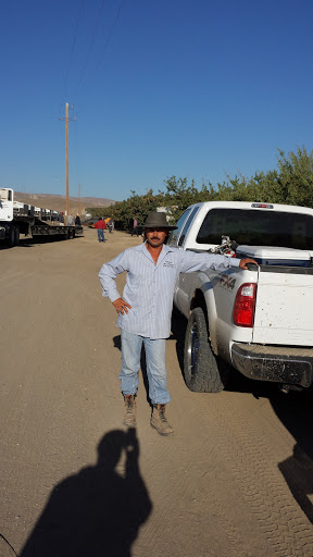 Pet Supply Store «Sutter Orchard Supply», reviews and photos, 573 Bridge St, Yuba City, CA 95991, USA