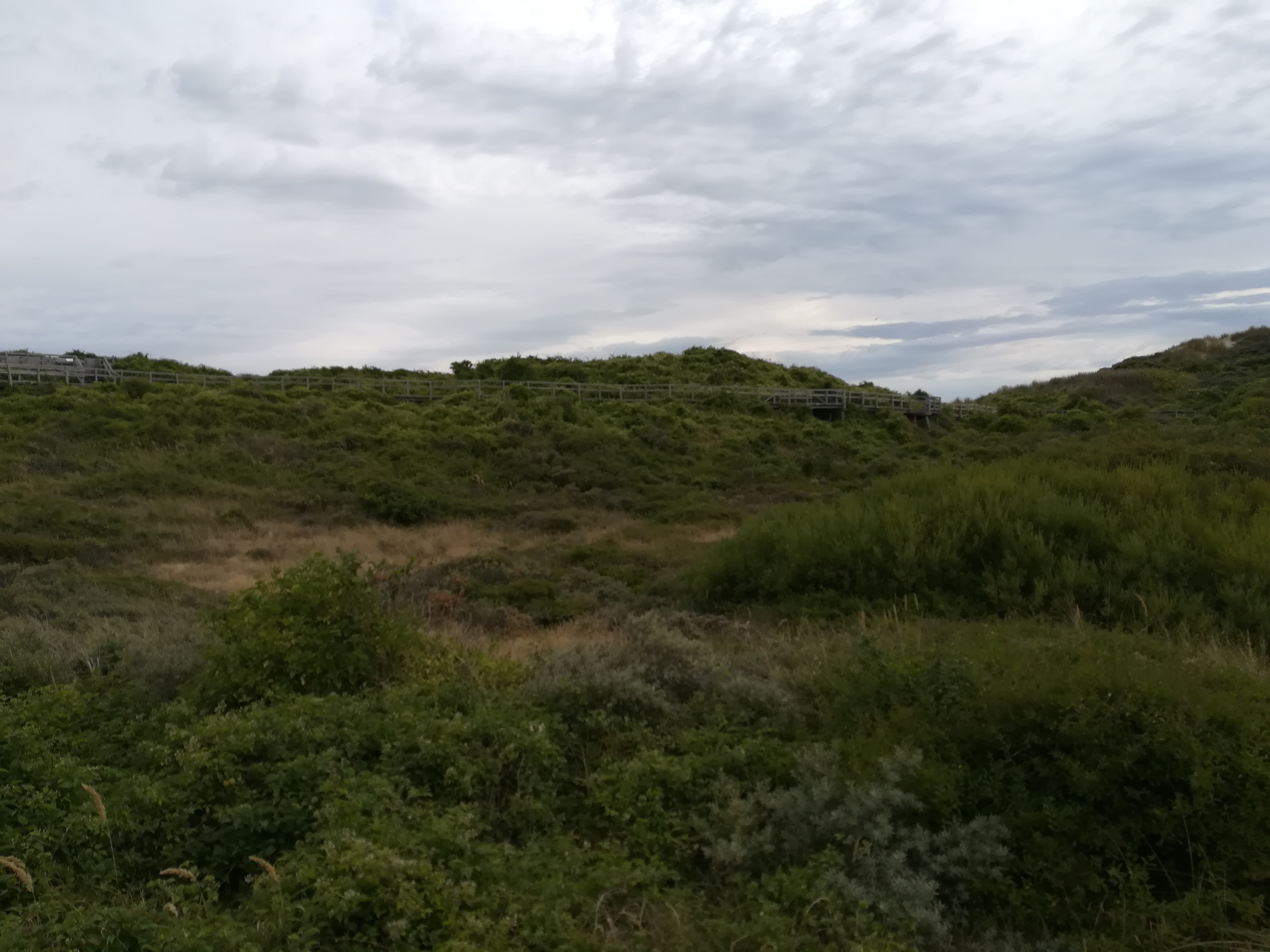 Photo n° 1 de l'avis de olivier.a fait le 22/08/2018 à 07:29