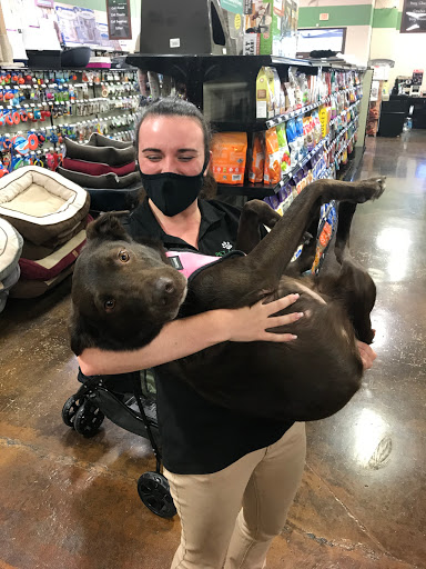 Pet Store «Choice Pet Market», reviews and photos, 20028 N 67th Ave, Glendale, AZ 85308, USA