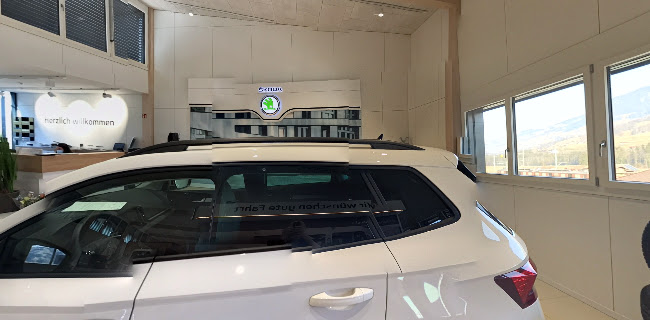 Kommentare und Rezensionen über Autohaus von Känel Frutigen - Volkswagen Škoda Seat Cupra Audi Garage & öffentliche AC/DC Ladestation