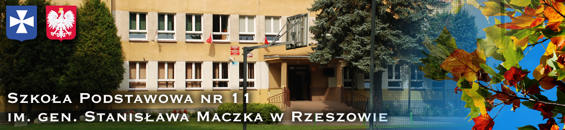 Szkoła Podstawowa nr 11 im. gen. S. Maczka Podwisłocze 14, 35-309 Rzeszów, Polska