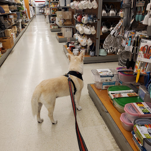 Department Store «T.J. Maxx», reviews and photos, 7555 W Hillsborough Ave, Tampa, FL 33615, USA