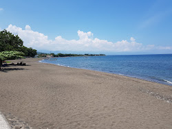 Zdjęcie Lovina Beach z przestronna linia brzegowa