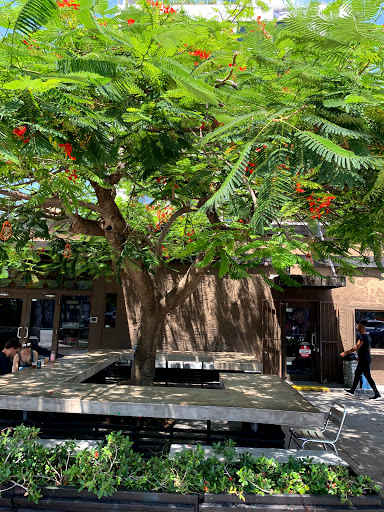 Coffee Shop «Panther Coffee», reviews and photos, 1875 Purdy Ave, Miami Beach, FL 33139, USA